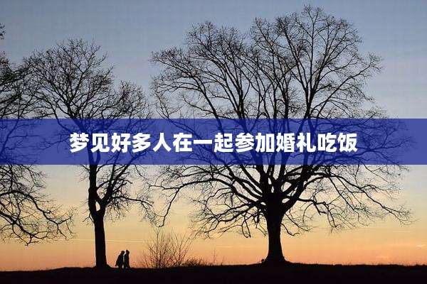 梦见好多人在一起参加婚礼吃饭