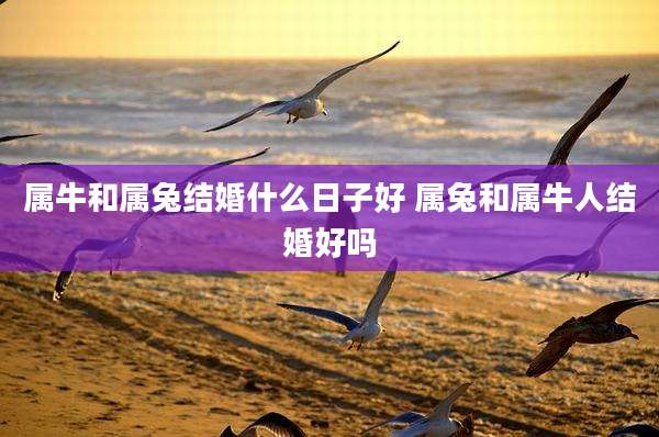 属牛和属兔结婚什么日子好 属兔和属牛人结婚好吗