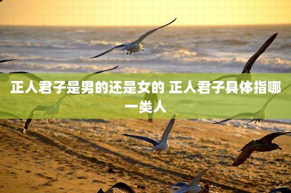正人君子是男的还是女的 正人君子具体指哪一类人