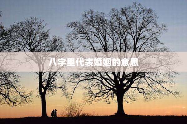 八字里代表婚姻的意思