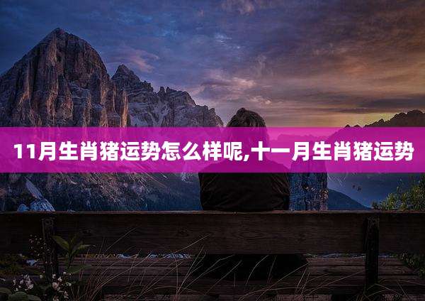 11月生肖猪运势怎么样呢,十一月生肖猪运势