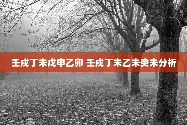 壬戌丁未戊申乙卯 壬戌丁未乙未癸未分析