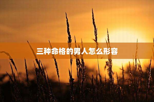 三种命格的男人怎么形容