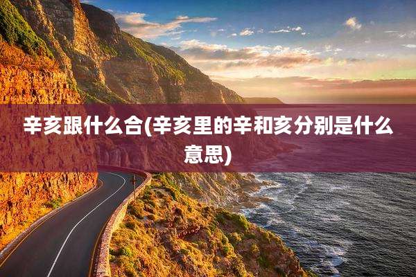 辛亥跟什么合(辛亥里的辛和亥分别是什么意思)
