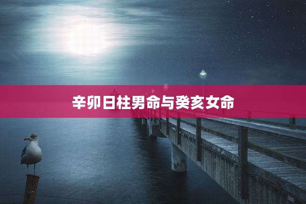 辛卯日柱男命与癸亥女命