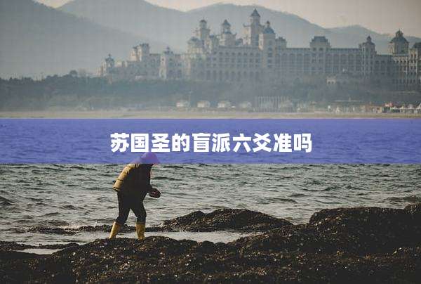 苏国圣的盲派六爻准吗
