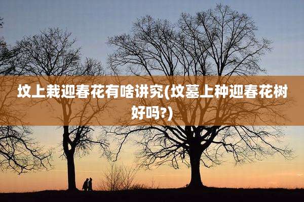 坟上栽迎春花有啥讲究(坟墓上种迎春花树好吗?)