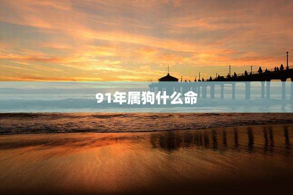 91年属狗什么命