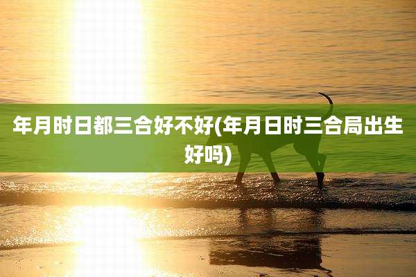 年月时日都三合好不好(年月日时三合局出生好吗)