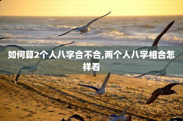 如何算2个人八字合不合,两个人八字相合怎样看