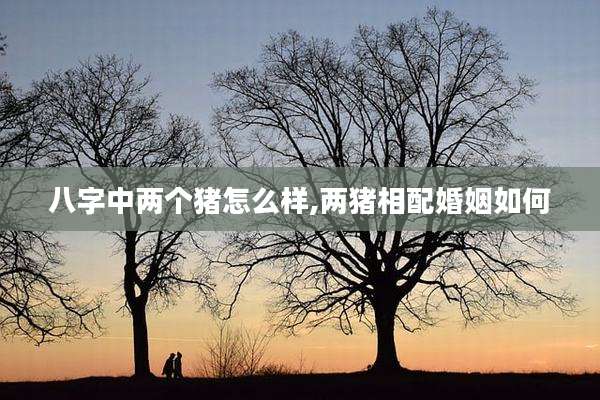 八字中两个猪怎么样,两猪相配婚姻如何