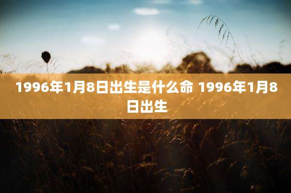 1996年1月8日出生是什么命 1996年1月8日出生