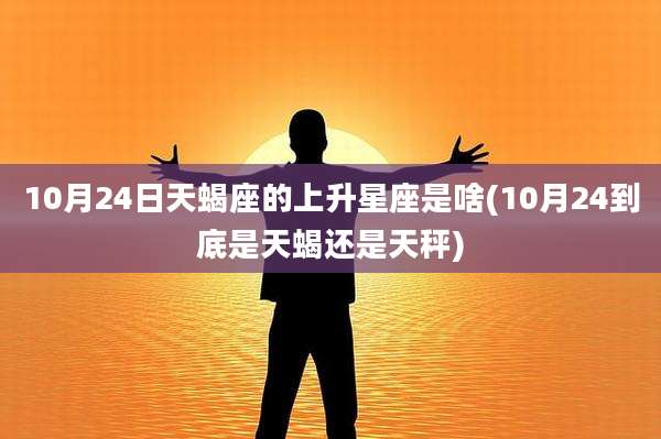 10月24日天蝎座的上升星座是啥(10月24到底是天蝎还是天秤)