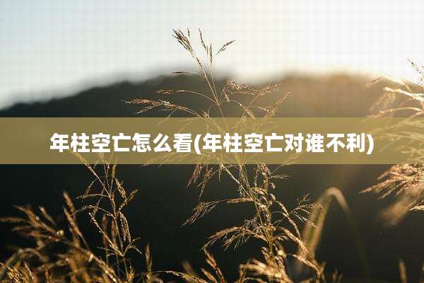 年柱空亡怎么看(年柱空亡对谁不利)