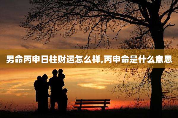 男命丙申日柱财运怎么样,丙申命是什么意思