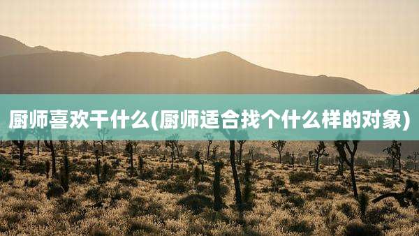 厨师喜欢干什么(厨师适合找个什么样的对象)