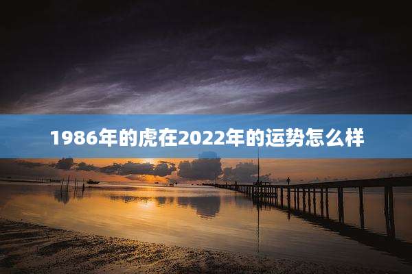 1986年的虎在2022年的运势怎么样