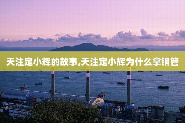 天注定小辉的故事,天注定小辉为什么拿钢管