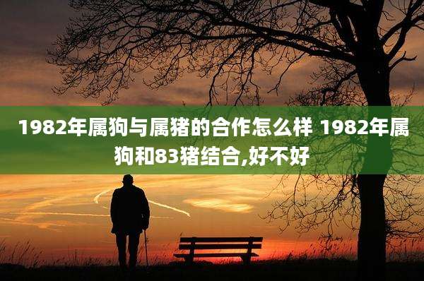 1982年属狗与属猪的合作怎么样 1982年属狗和83猪结合,好不好
