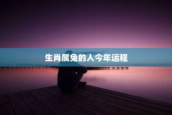 生肖属兔的人今年运程