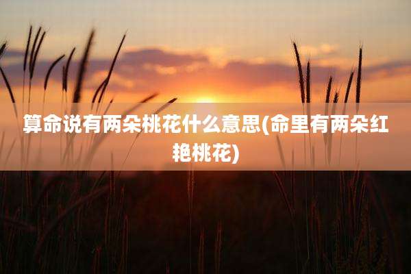 算命说有两朵桃花什么意思(命里有两朵红艳桃花)