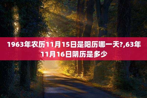 1963年农历11月15日是阳历哪一天?,63年11月16日阴历是多少