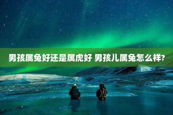 男孩属兔好还是属虎好 男孩儿属兔怎么样?