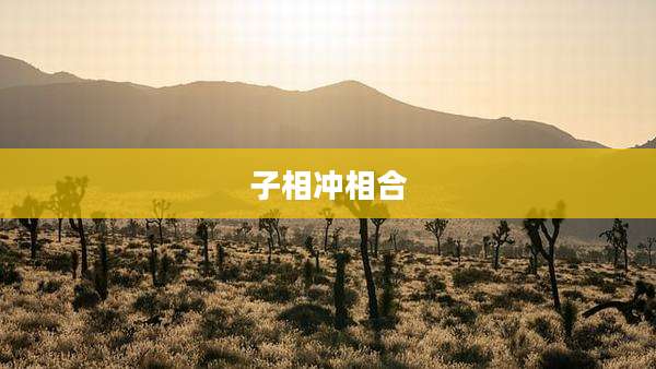 子相冲相合
