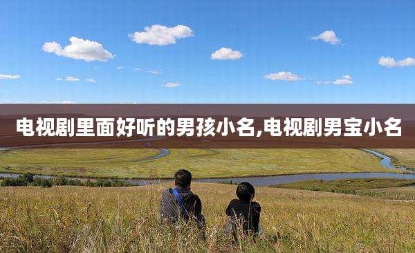 电视剧里面好听的男孩小名,电视剧男宝小名