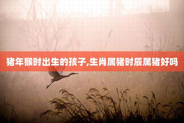 猪年猴时出生的孩子,生肖属猪时辰属猪好吗