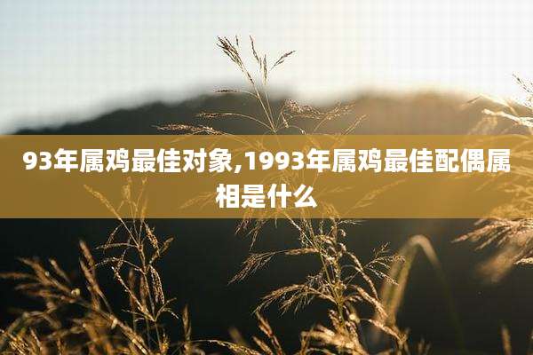 93年属鸡最佳对象,1993年属鸡最佳配偶属相是什么