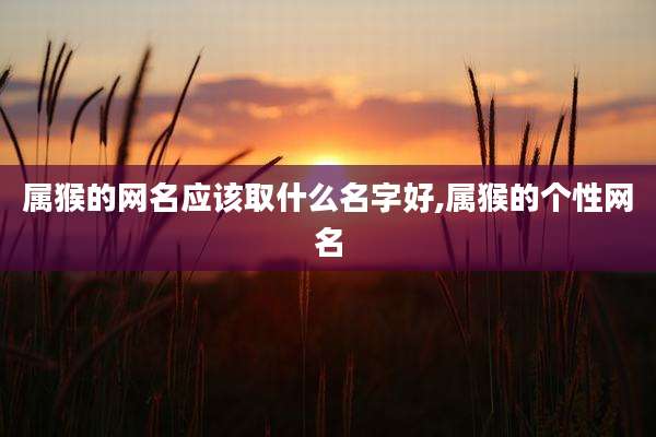 属猴的网名应该取什么名字好,属猴的个性网名