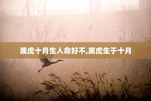 属虎十月生人命好不,属虎生于十月