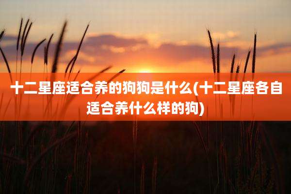 十二星座适合养的狗狗是什么(十二星座各自适合养什么样的狗)