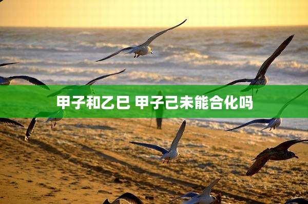 甲子和乙巳 甲子己未能合化吗