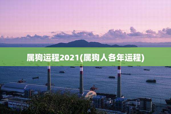 属狗运程2021(属狗人各年运程)