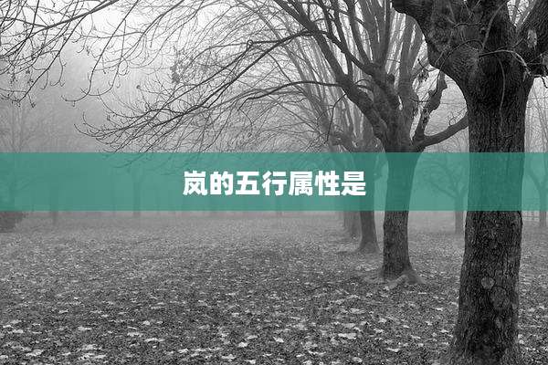 岚的五行属性是