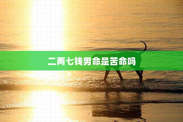 二两七钱男命是苦命吗
