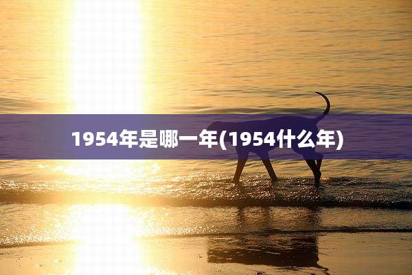 1954年是哪一年(1954什么年)