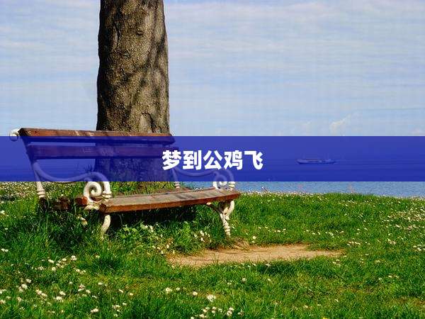 梦到公鸡飞