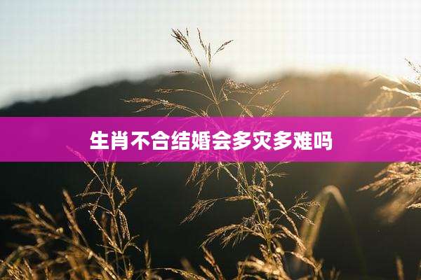 生肖不合结婚会多灾多难吗