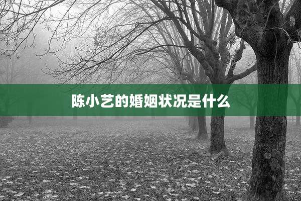 陈小艺的婚姻状况是什么