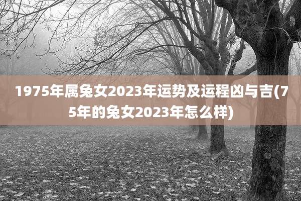 1975年属兔女2023年运势及运程凶与吉(75年的兔女2023年怎么样)