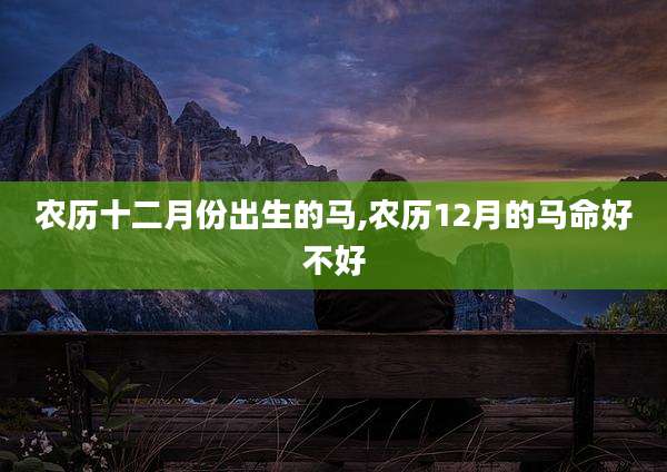 农历十二月份出生的马,农历12月的马命好不好
