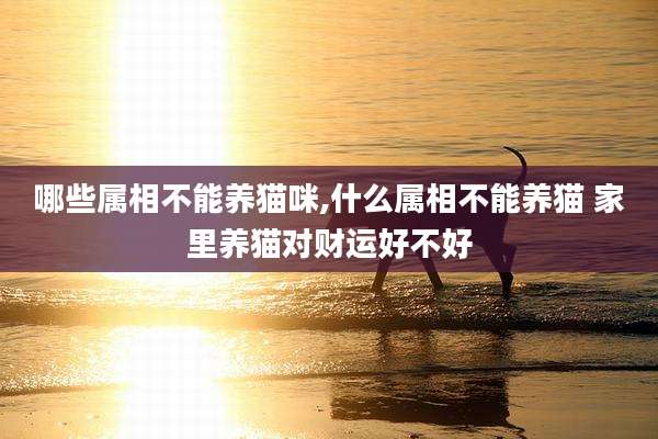 哪些属相不能养猫咪,什么属相不能养猫 家里养猫对财运好不好