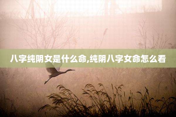 八字纯阴女是什么命,纯阴八字女命怎么看