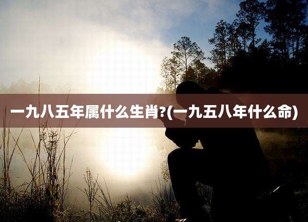 一九八五年属什么生肖?(一九五八年什么命)
