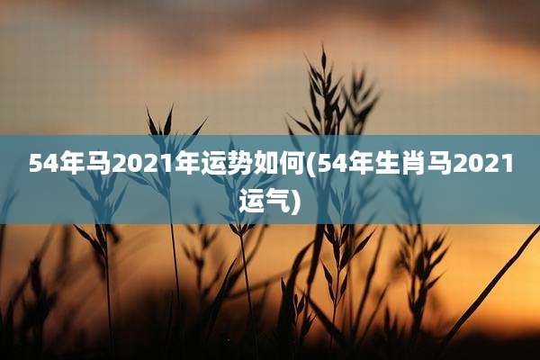 54年马2021年运势如何(54年生肖马2021运气)