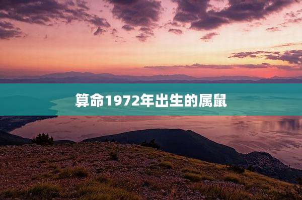 算命1972年出生的属鼠