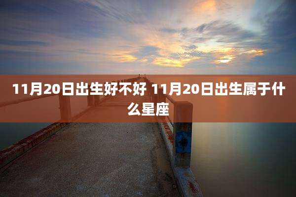 11月20日出生好不好 11月20日出生属于什么星座